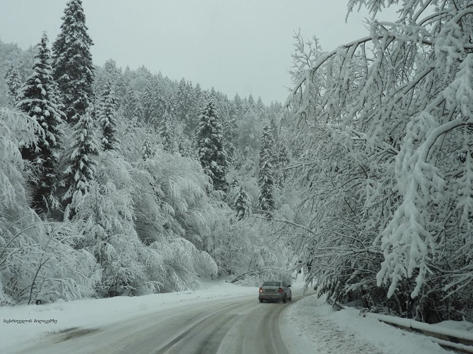 ბაკურიანი - იანვარი, შაბათი.
