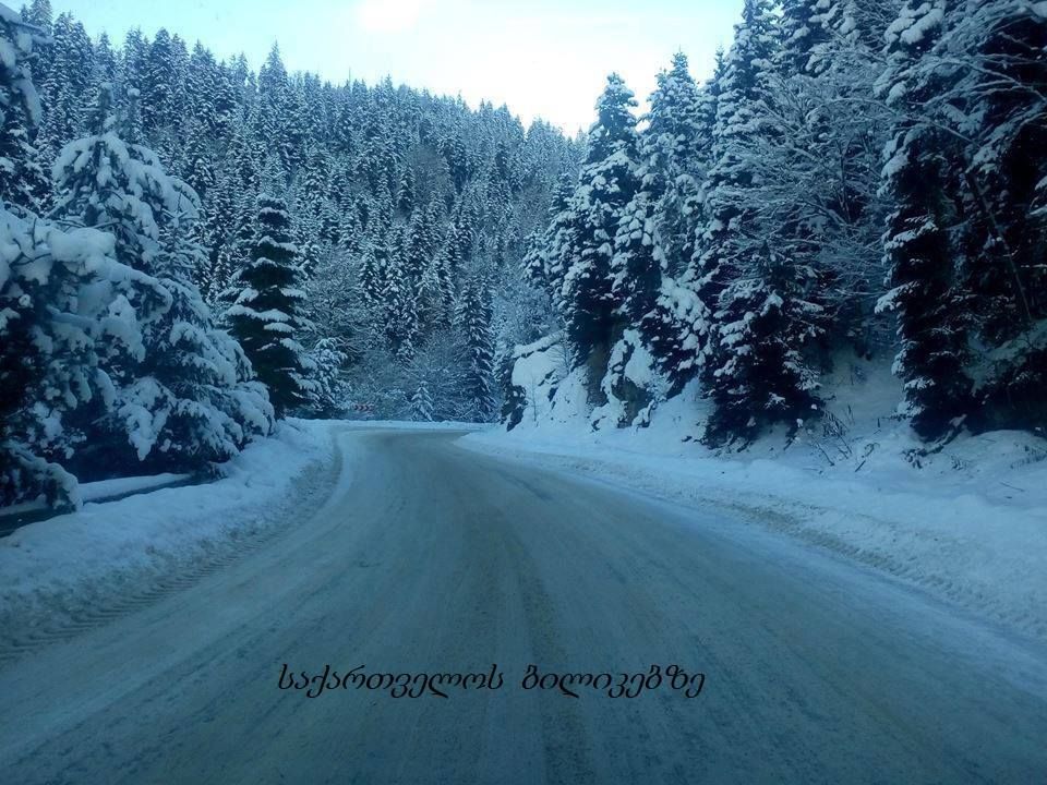 ბაკურიანი - იანვარი, შაბათი.