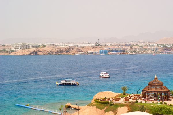 დღის აქცია!ეგვიპტე