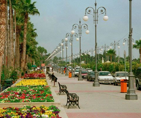 მარტი კვიპროსზე