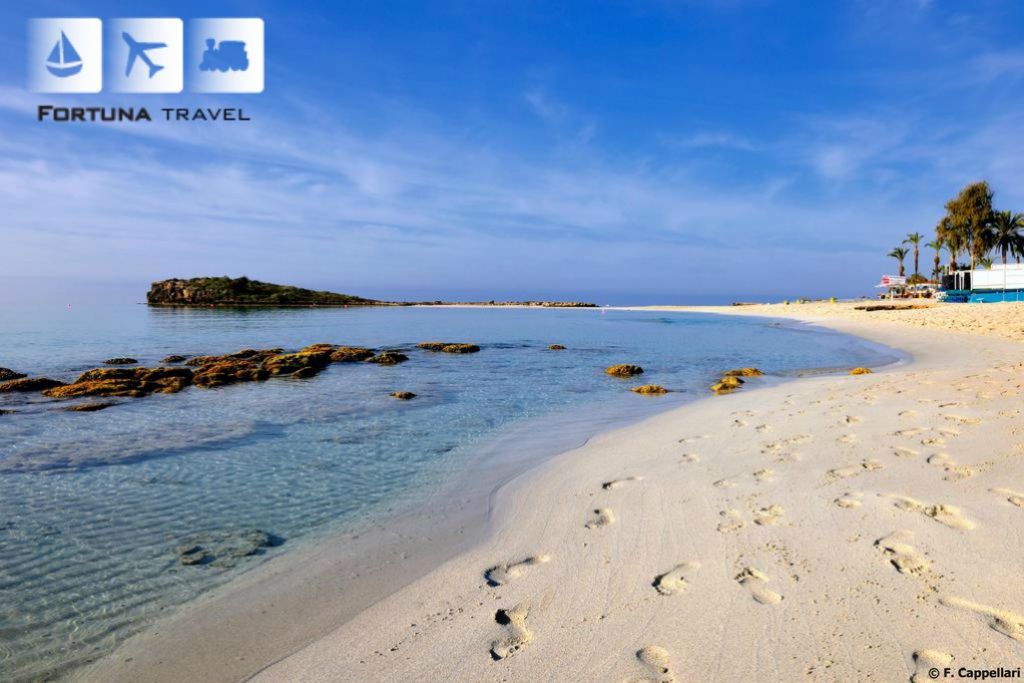 მზიანი აია ნაპა/ Ayia Napa მხოლოდ !