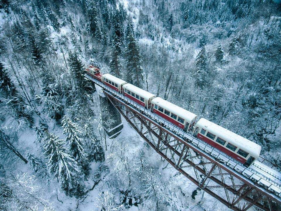 თბილისი-ბაკურიანი-ბორჯომი-თბილისი