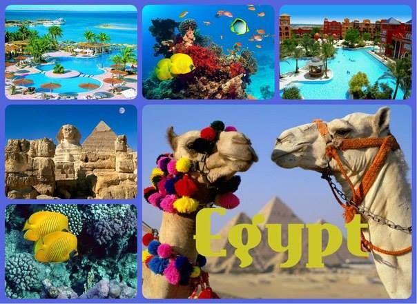 მოიწყვეთ ზაფხული ☀