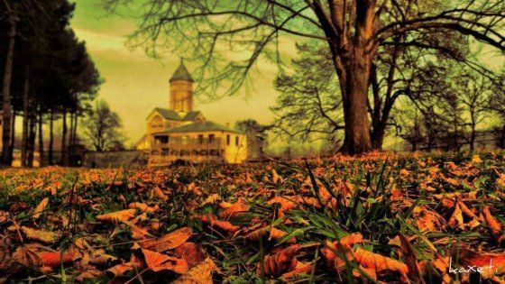 ღვინის ტური კახეთში