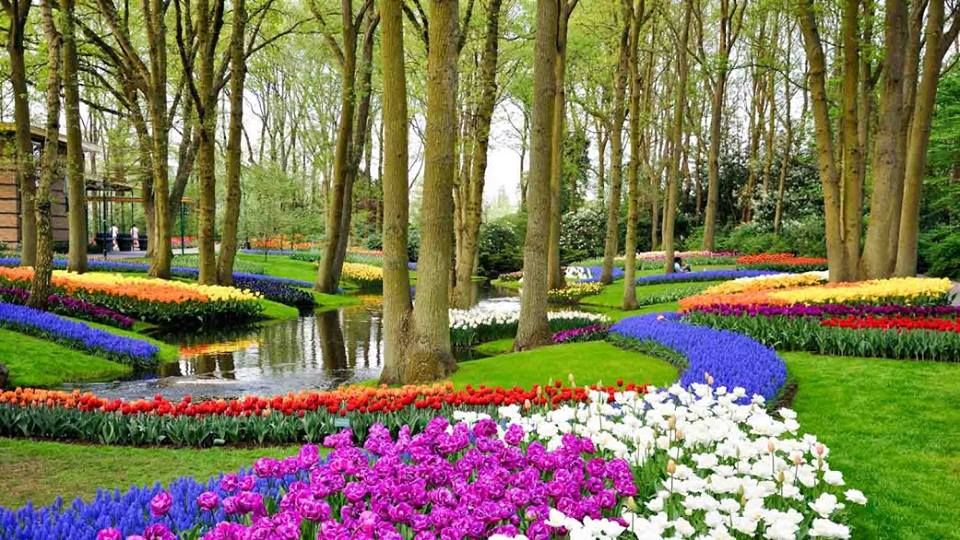 ტიტების ფესტივალი ამსტერდამში! სრული საგზური !!