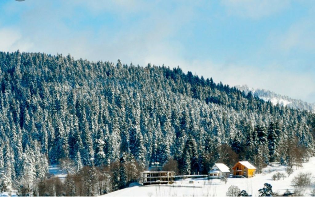 თბილისი-ბაკურიანი-ბორჯომი-თბილისი