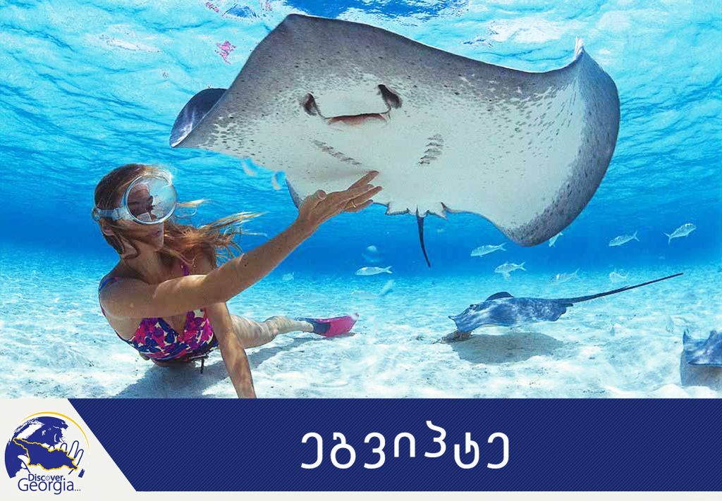 ეგვიპტე