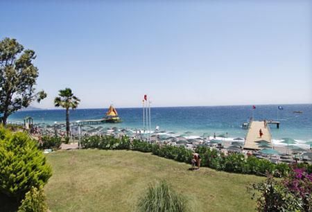 ნაადრევი ჯავშნების აქცია‼️ ანტალი