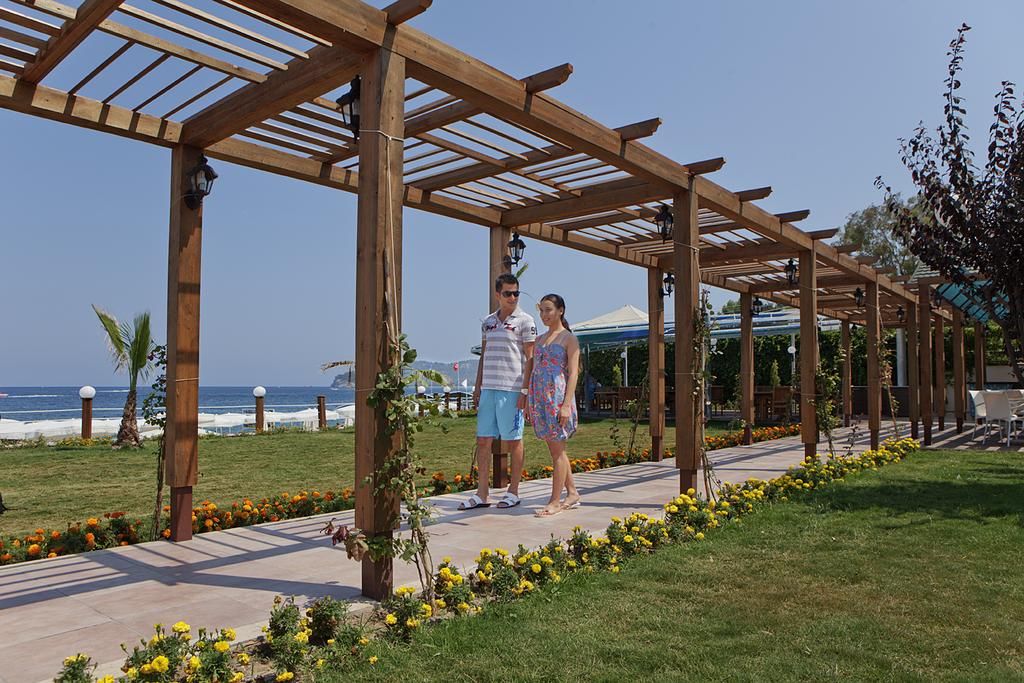 ნაადრევი ჯავშნების აქცია‼️ ანტალი