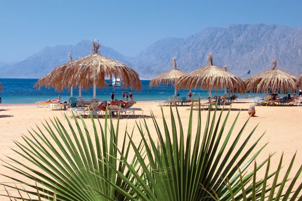 დიდი ფასდაკლება !!! დარჩენილია ბოლო ადგილები !!!