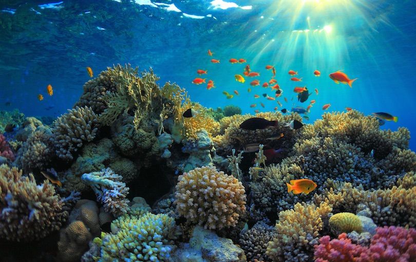 დამატებითი ტურები ეგვიპტეში