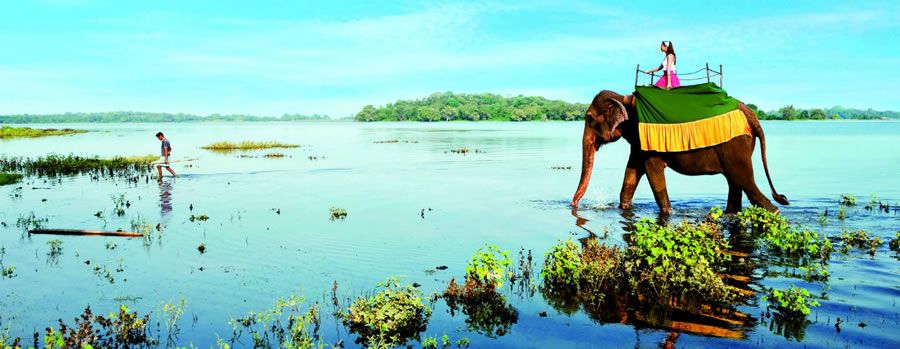 Sri -lanka from  GEL