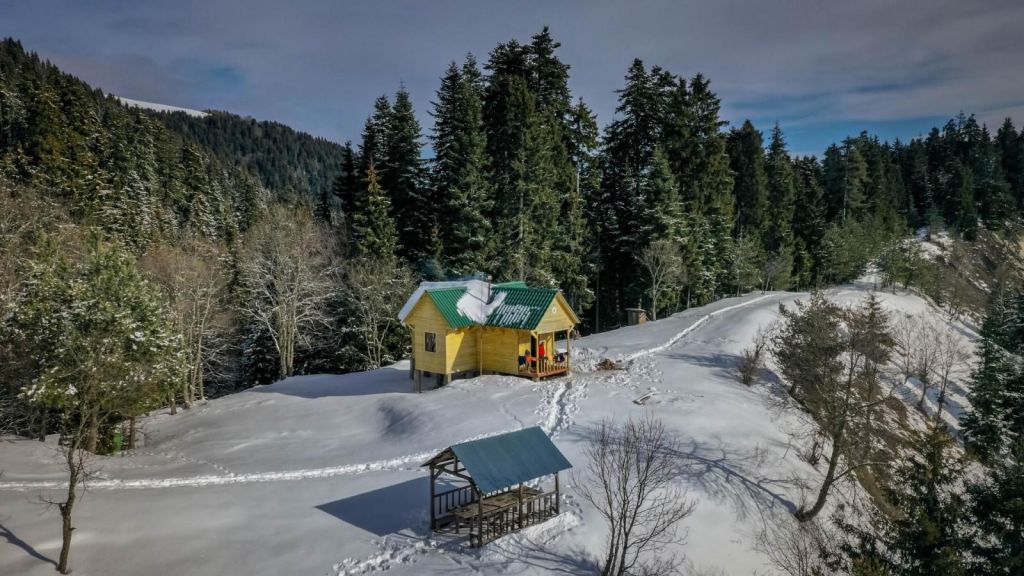 მოირონინე თოვლიანი ლომის მთა - თებერვალს