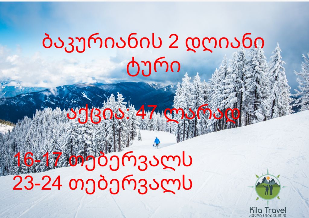 ბაკურიანის დღიანი ტურები . აქციაა