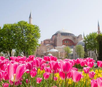 ტიტების ფესტივალი სტამბულში დათო ლიკლიკაძესთან ერთად !