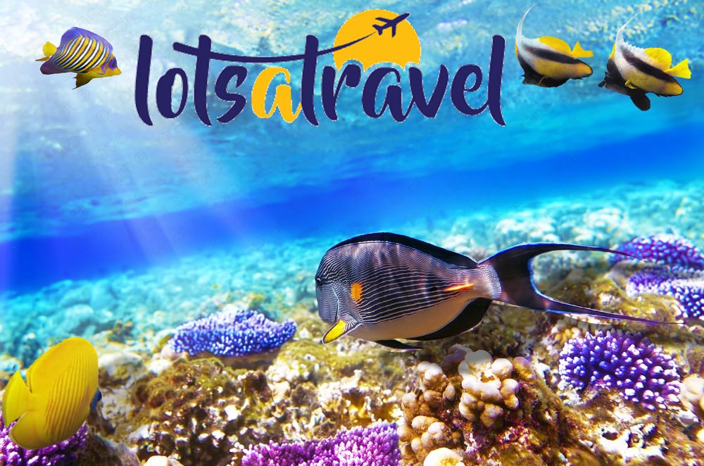 აქცია ბოლო ადგილებზე