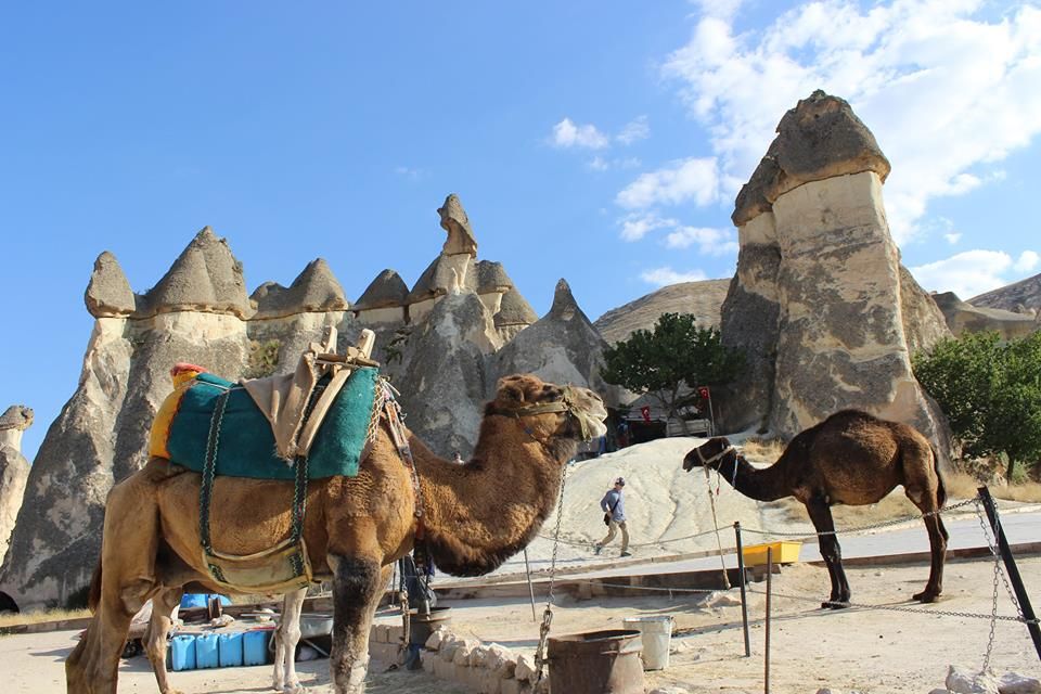 კაპადოკიის დღიანი ტური - ავტობუსით !