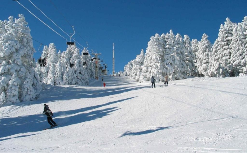 თბილისი-ბაკურიანი-ბორჯომი-თბილისი