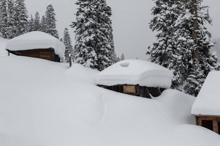 ტური: თოვლიანი ბახმარო