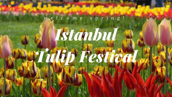 Tour in Istanbul Tulip Festival! 6-7-8-9 April, 2019
