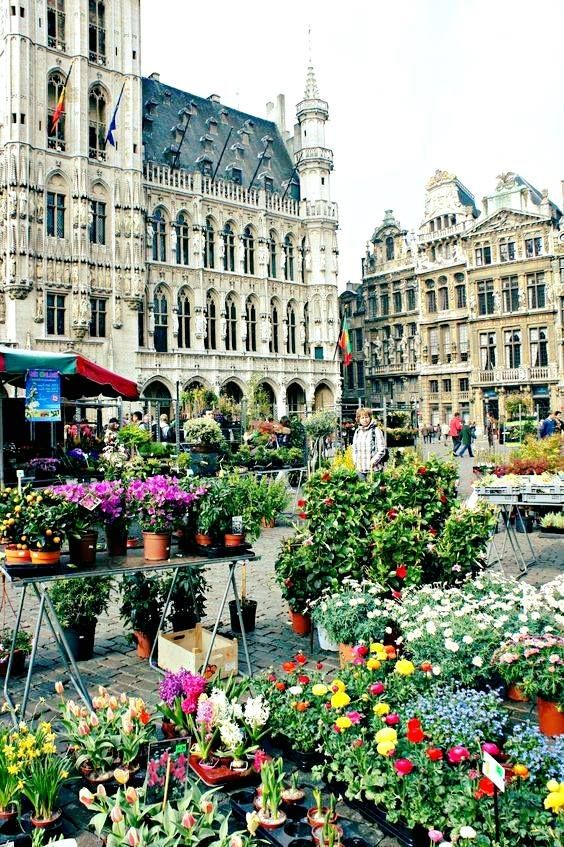 Belgium / Brussels