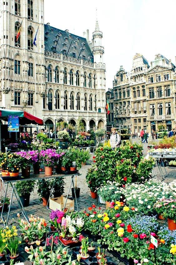 ბელგია/ბრიუსელი