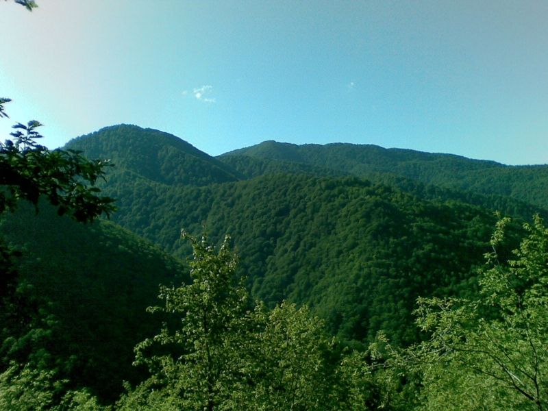 IMERETI