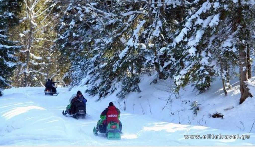 თბილისი-ბაკურიანი-ბორჯომი-თბილისი