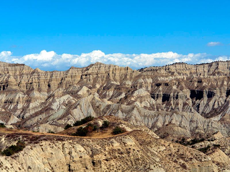 Tours in Vashlovani Protected Areas