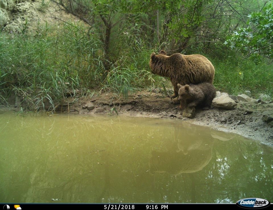 Tours in Vashlovani Protected Areas