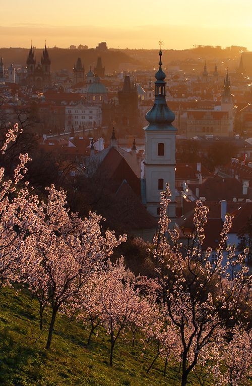 გაზაფხული პრაღაში