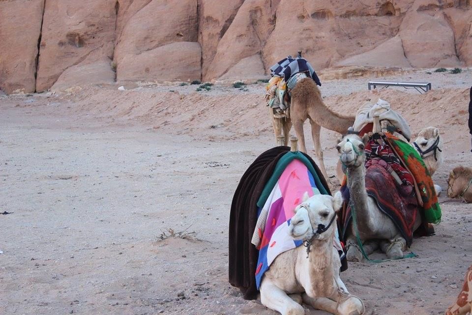 არაბული ზღაპარი