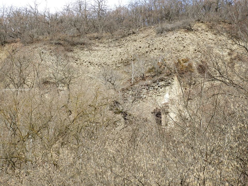 ნავდარაანთკარი, ბზიანა, ამოტრიალებული საყდარი და ა.შ.
