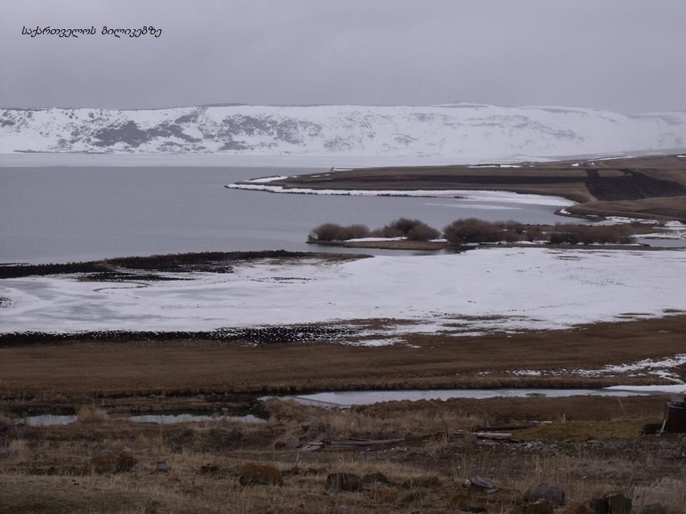 თოვლიანი ჯავახეთი - გაყინული ტბები