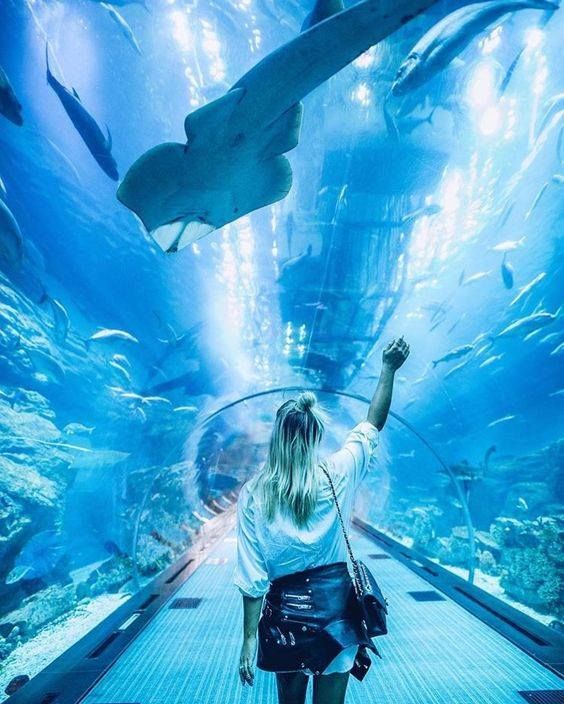 მარტი დუბაიში - ₾~ლარიდან