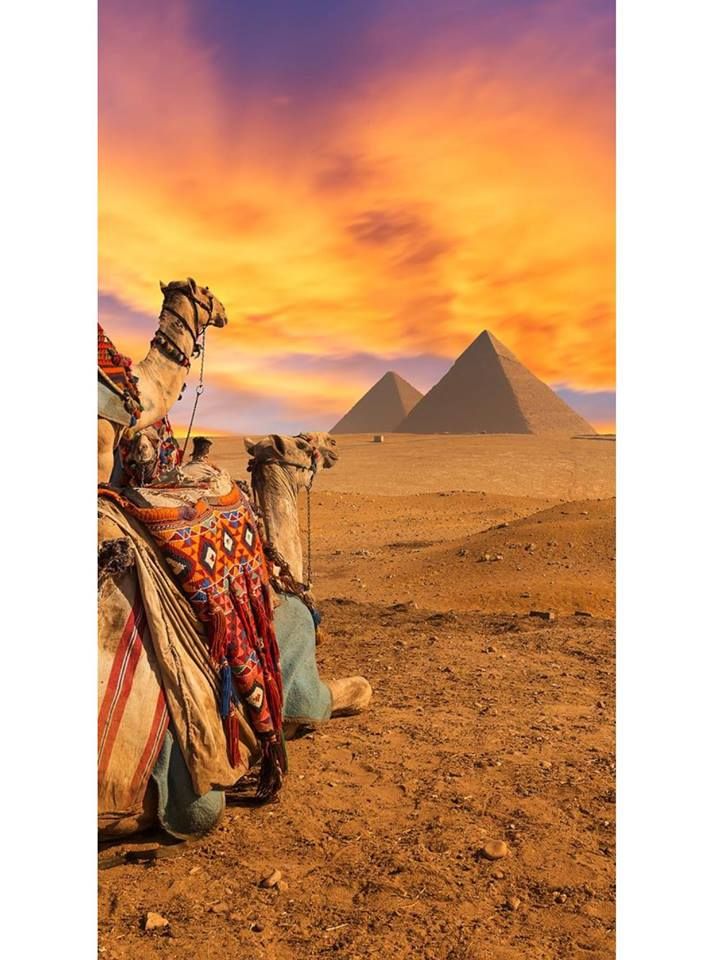 დღიანი ეგვიპტური ვოიაჟი