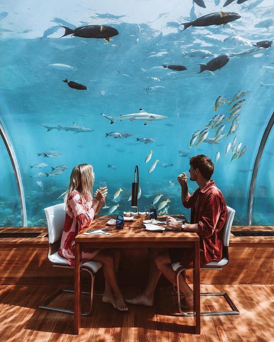 მალდივები ღამე ₾