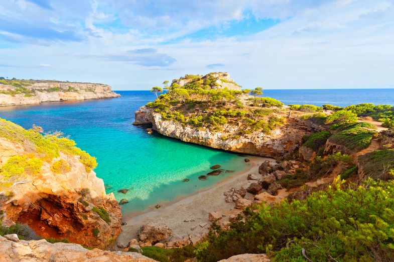 SPAIN ➤ PALMA DE MALLORCA (Early Booking)