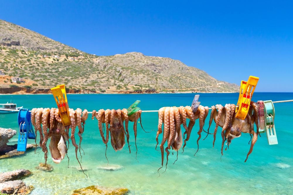 აქცია! ეგვიპტე !