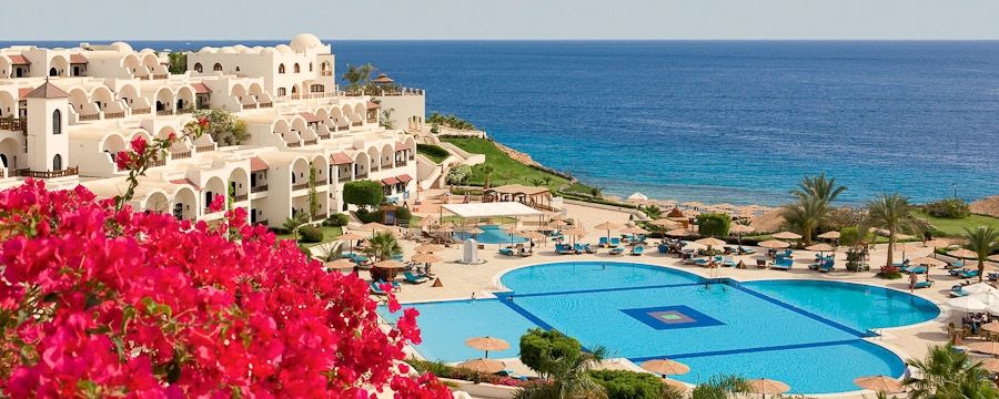 აქცია! ეგვიპტე !