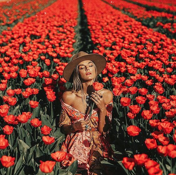 “საფრანგეთი-ბელგია-ჰოლანდია“