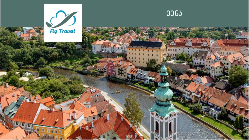 ვენა დღის აქცია