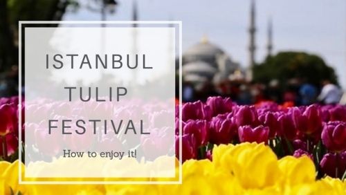 სტამბული - არ გამოტოვოთ ტიტების ფესტივალი