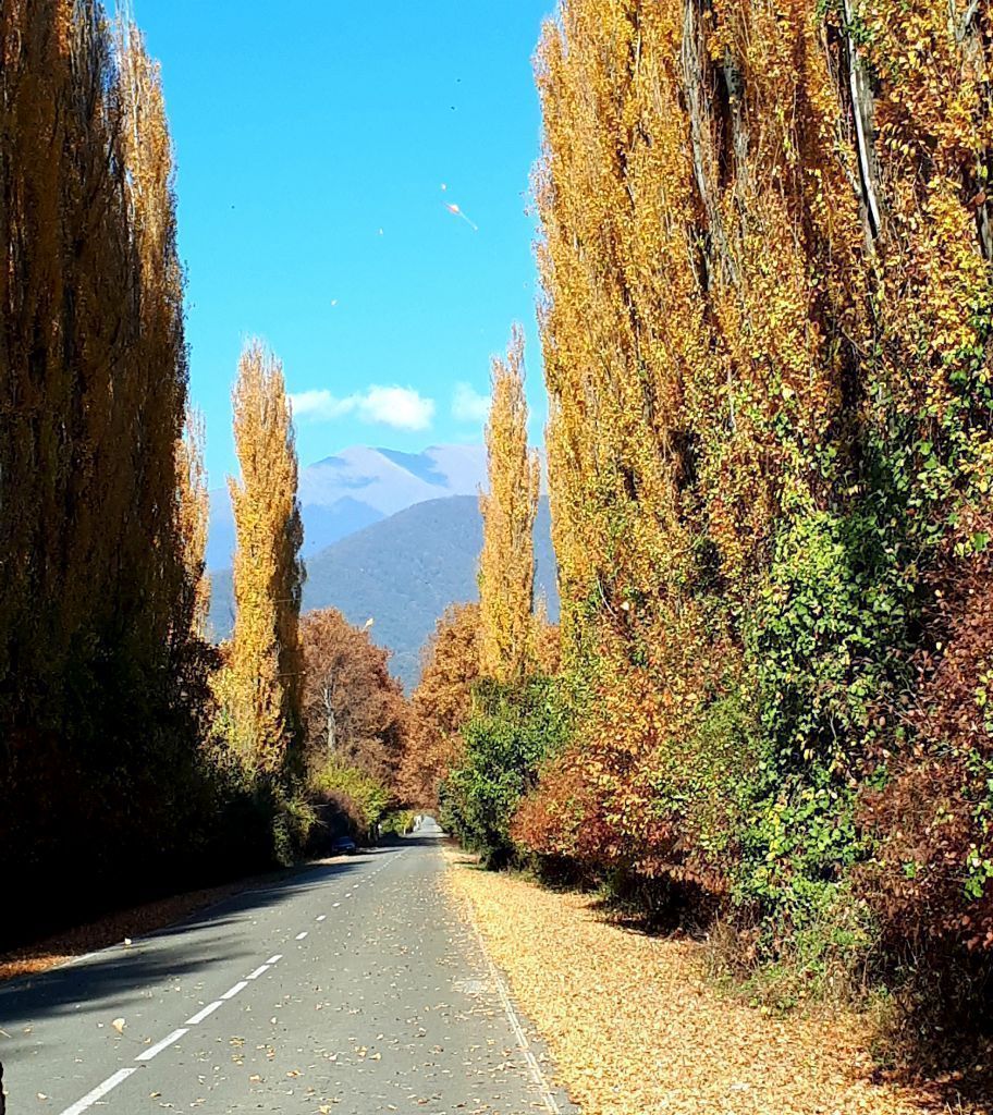 სიღნაღი-ბოდბე-ყვარელი-წინანდალი... შუამთა.....კახეთის ტური