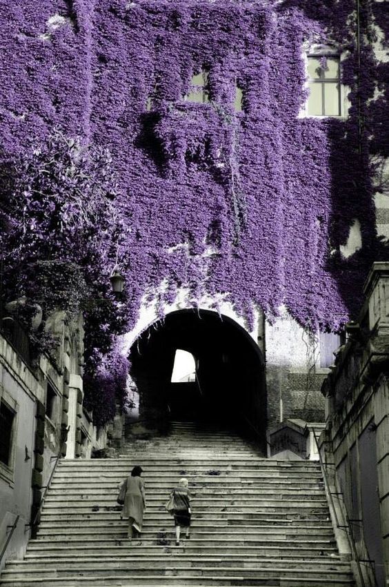 #რომი--*--*ფლორენცია**-**- მილანი