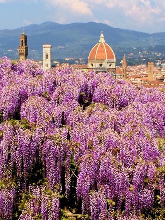 #რომი--*--*ფლორენცია**-**- მილანი