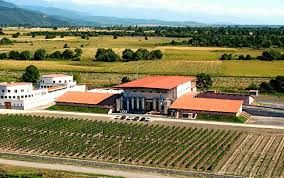 Wine tour in Kakheti
