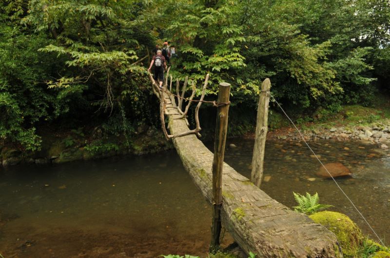 დაცული ტერიტორიები დასავლეთ საქართველოში