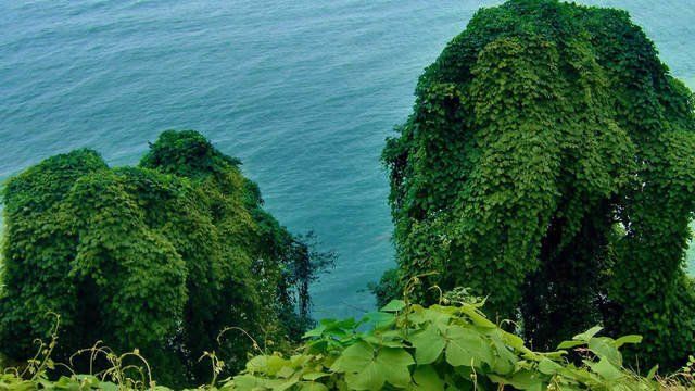 დაცული ტერიტორიები დასავლეთ საქართველოში