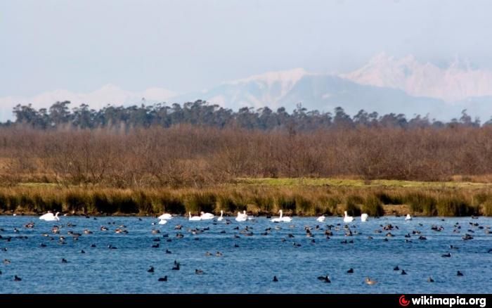 დაცული ტერიტორიები დასავლეთ საქართველოში